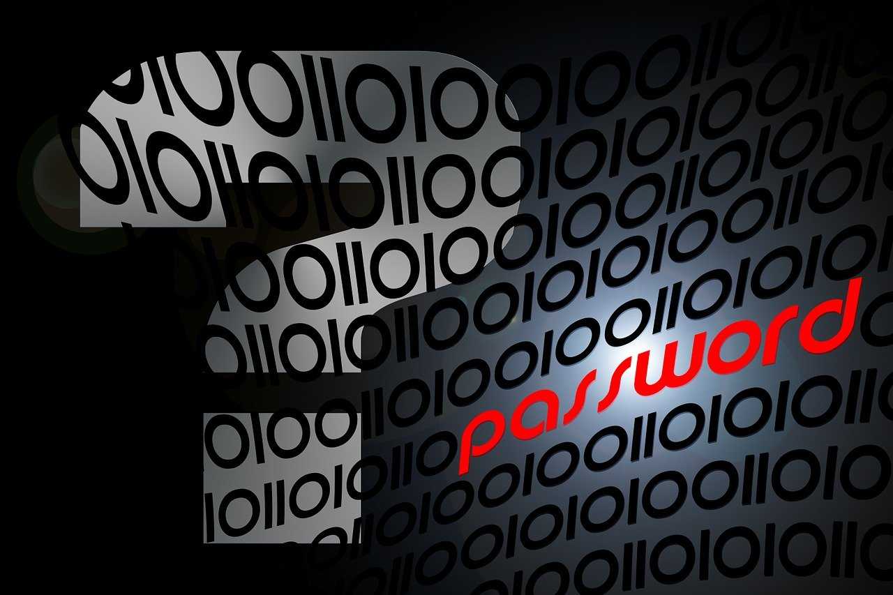 彼得巧科技官网优惠码及活动：台湾 Hinet 动态 IP 家宽 VDS 等你来