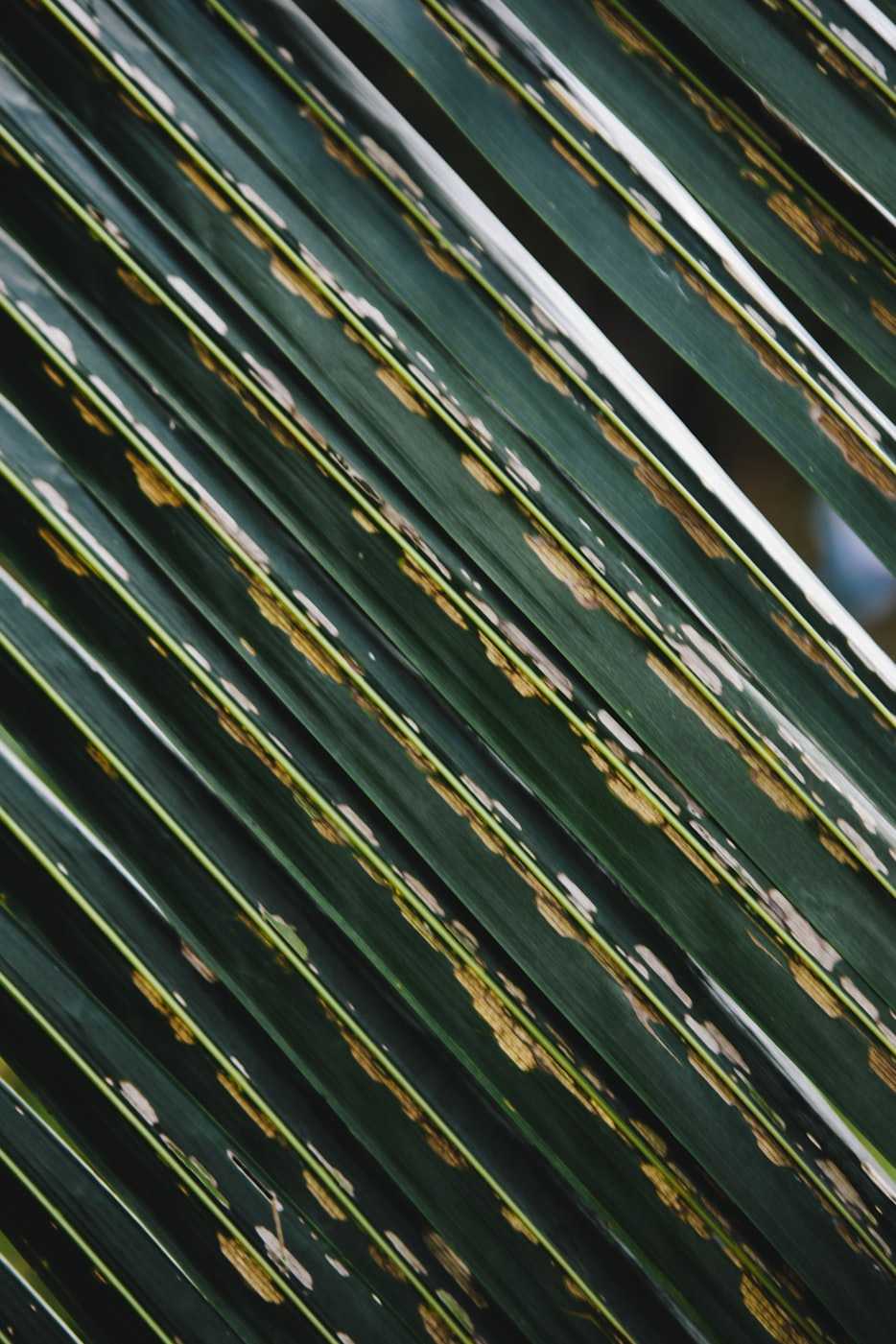 日本云服务器速度测评？2026 年最详细的日本云服务器速度测试，看完再买不后悔